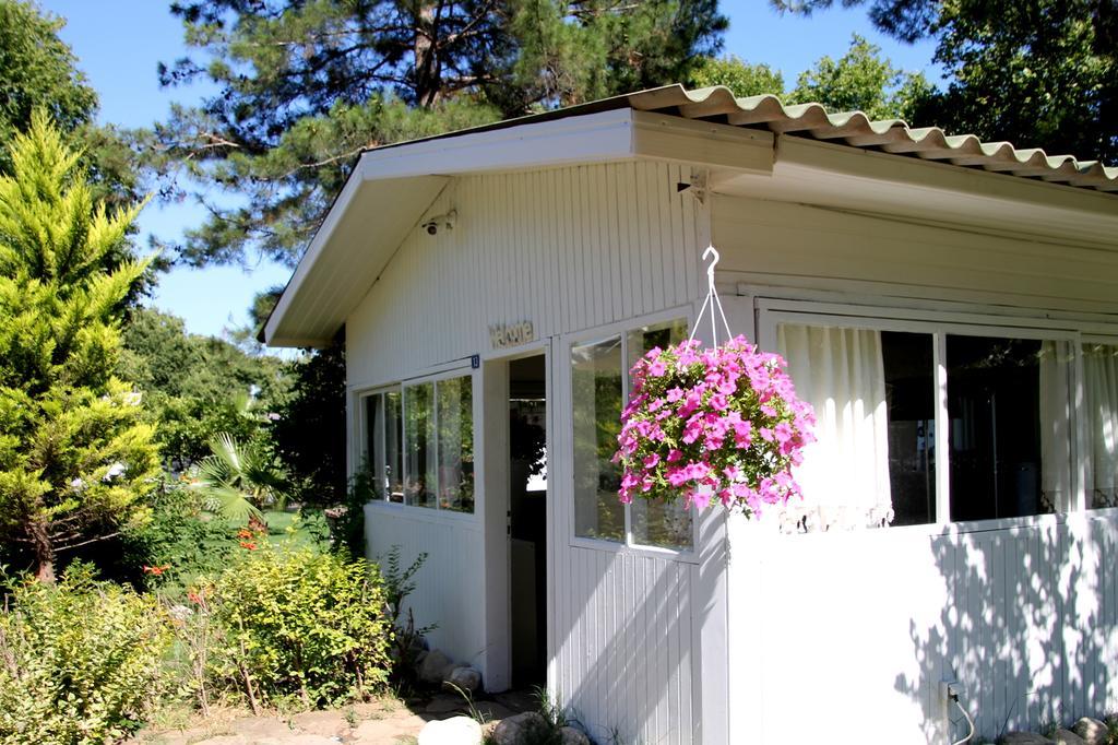 Defne Pension Cirali Exterior foto